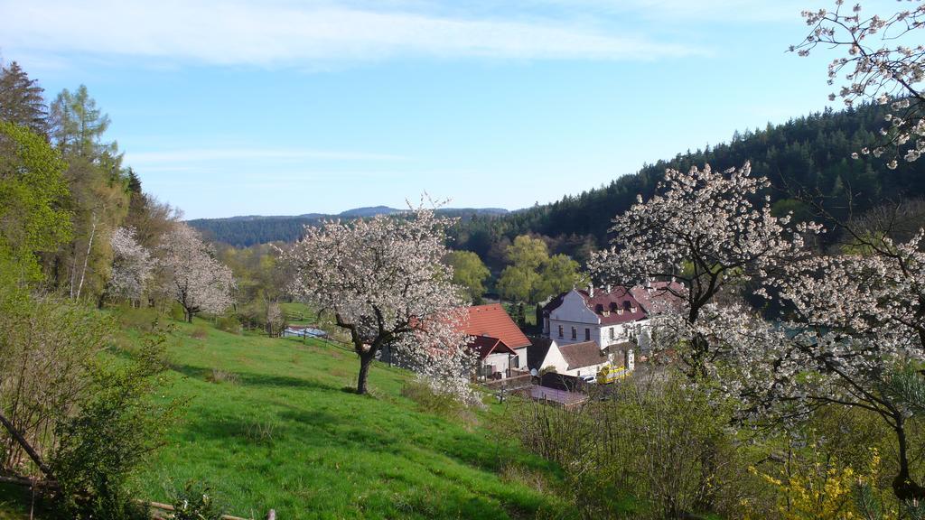Penzion Padrtuv Mlyn Trebic Exterior photo